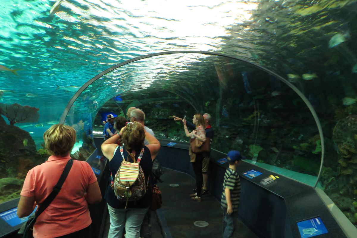 Ripley's Aquarium of Canada underwater tunnel